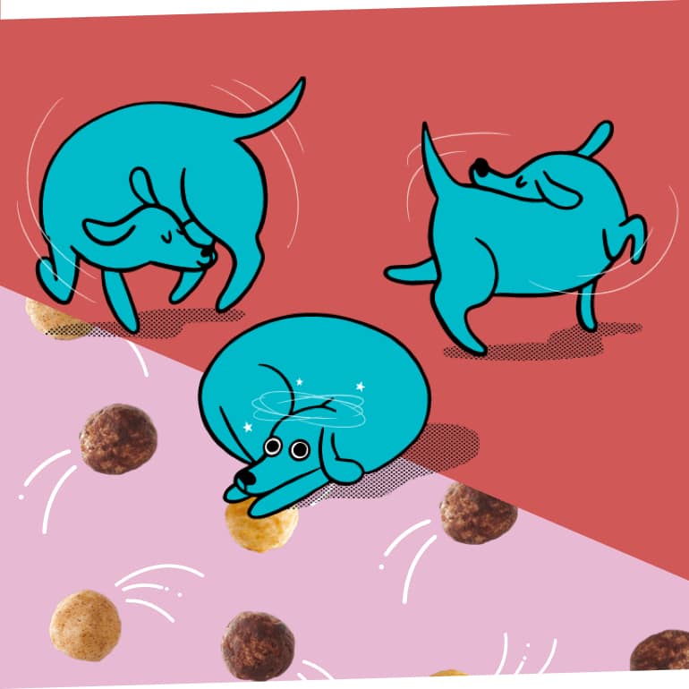 A comic-book style illustration of three Dachshund dogs chasing their tails in a circle. Pieces of Chocolate Wonderworks Keto Friendly Ceral spin in the background.